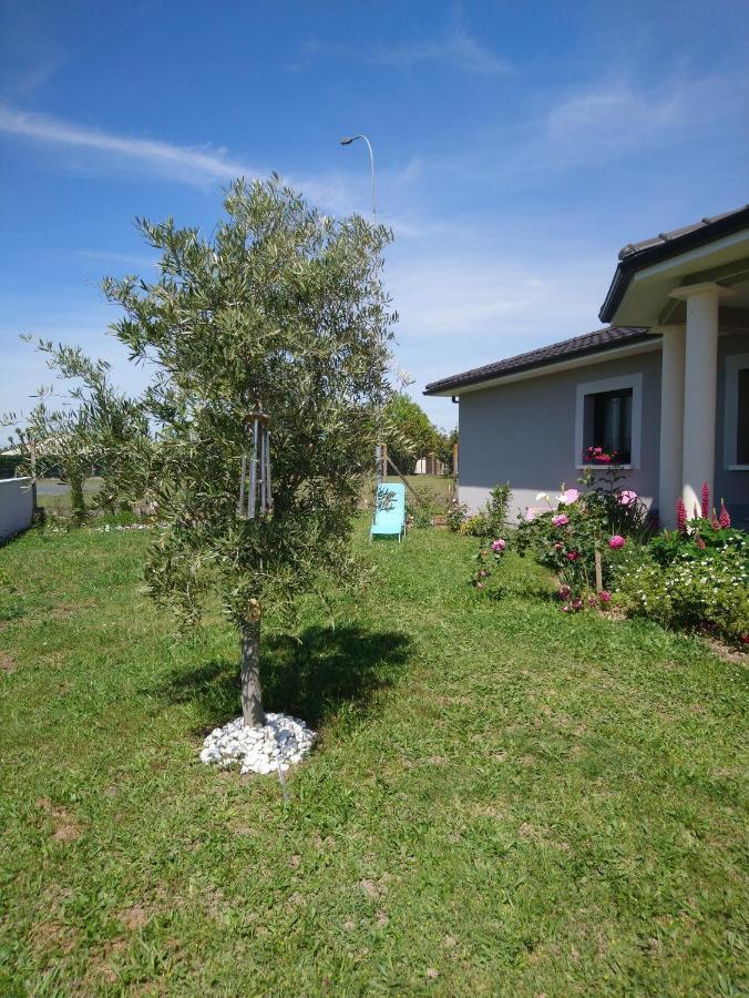 Le Bonheur A Portee De Mains Bergerac Bagian luar foto