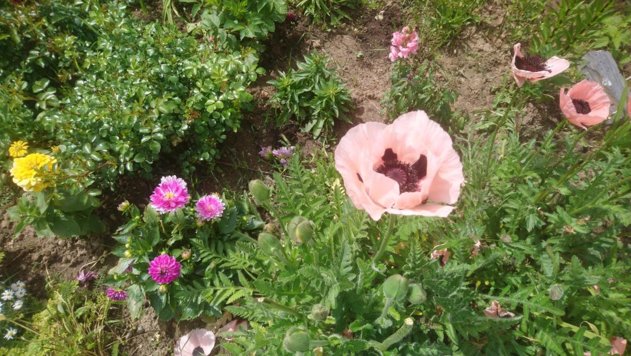 Le Bonheur A Portee De Mains Bergerac Bagian luar foto
